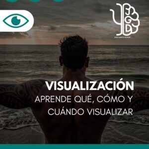 visualización